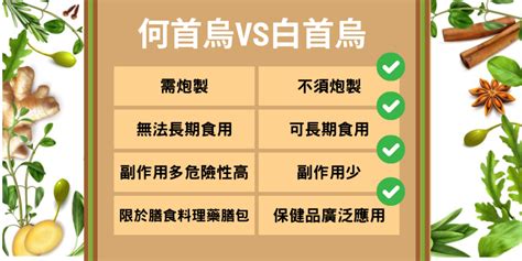 白首烏禁忌|白首烏是什麼？功效是什麼？白首烏的功效及禁忌全解析！。